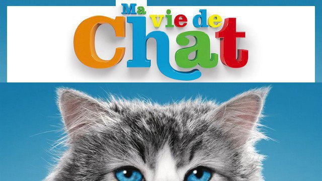 Bande Annonce Du Film Ma Vie De Chat En Vf