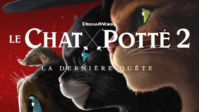 Bande Annonce Du Film Le Chat Potte 2 La Derniere Quete